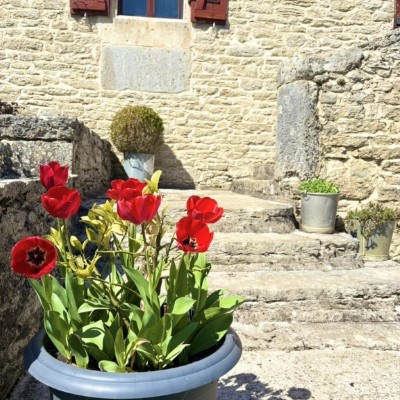 featured image on news and events page