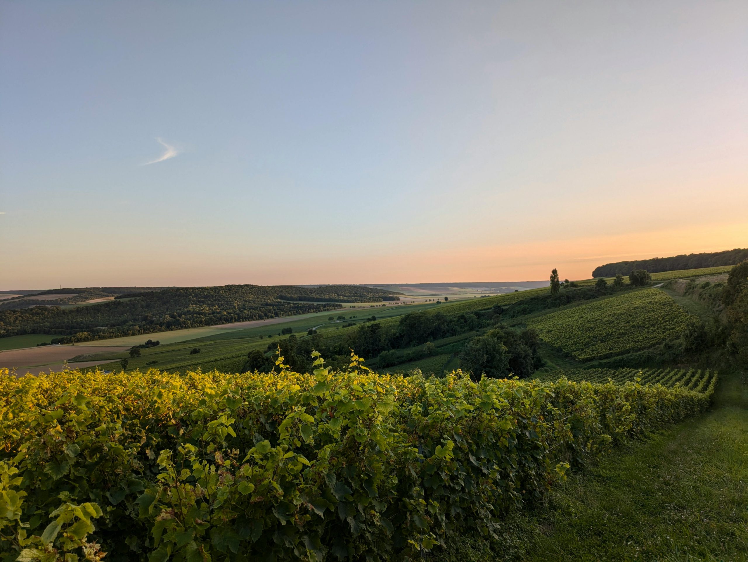 explore wine trails