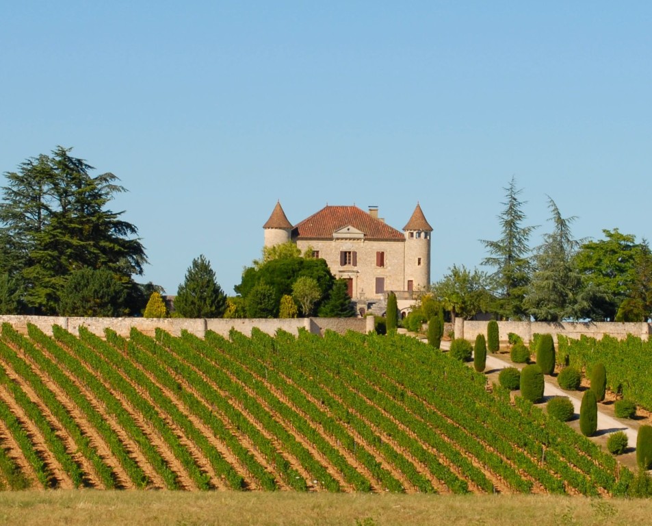 Chateau_Chambert_vineyard